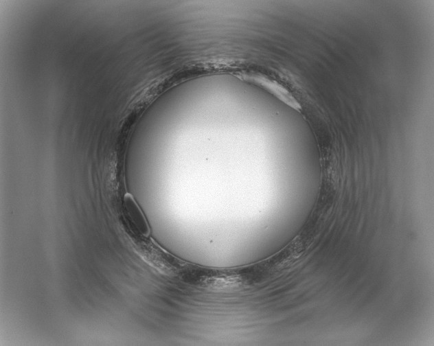 X0000064760548200603031802