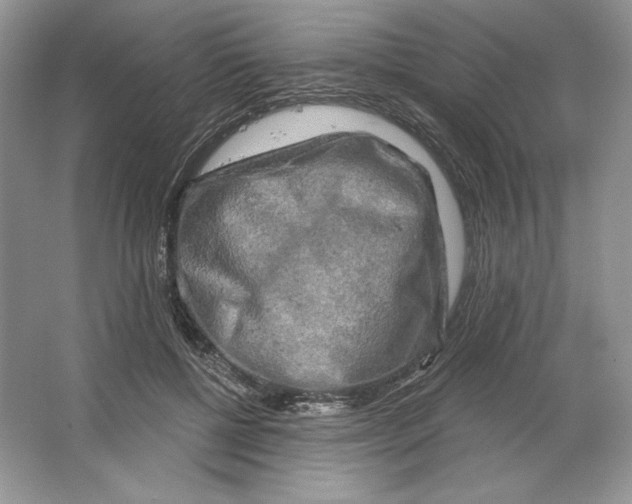 X0000064760552200603031802