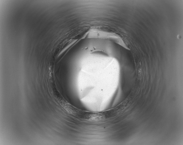 X0000064760555200603031802