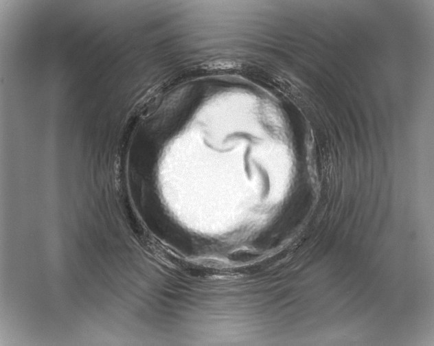 X0000064760556200603031802