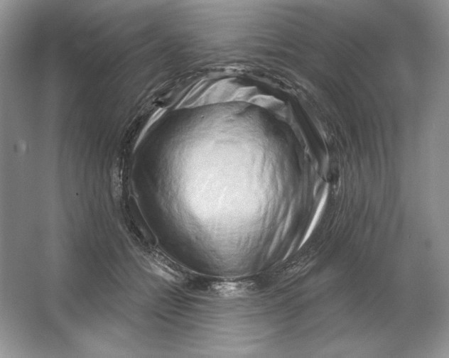 X0000064760558200603031802