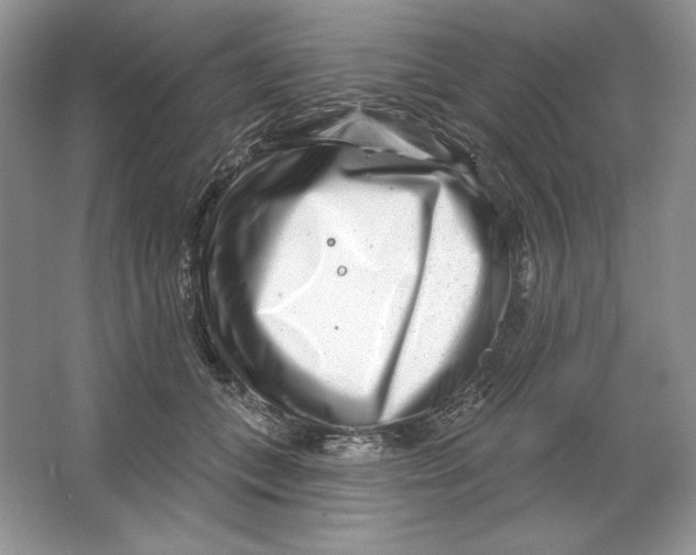 X0000064760559200603031802