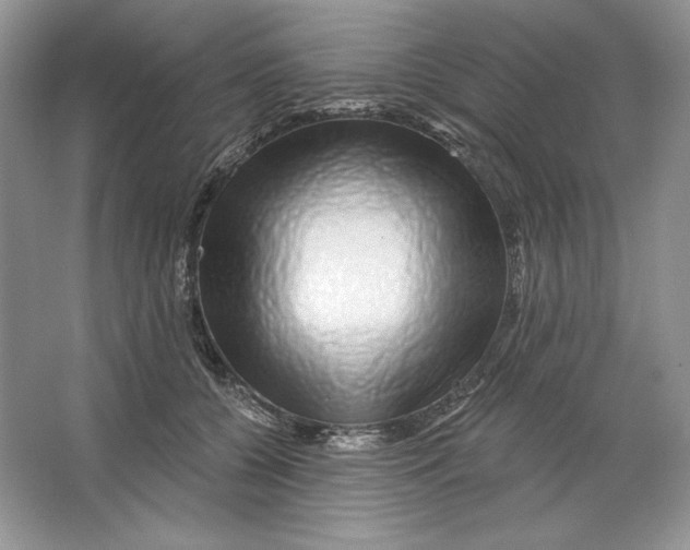 X0000064760560200603031802