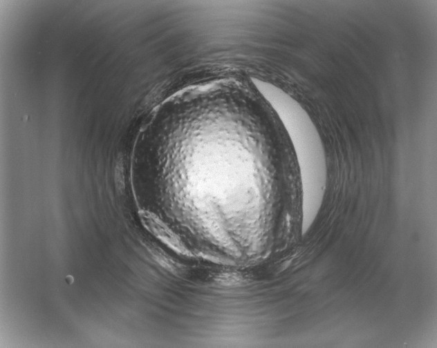 X0000064760562200603031802