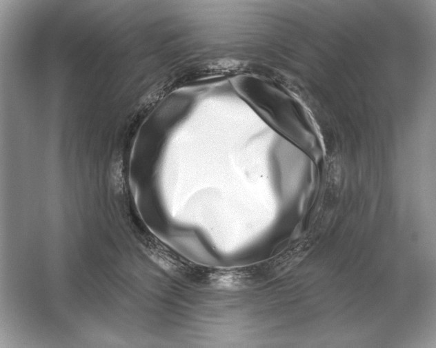 X0000064760564200603031802