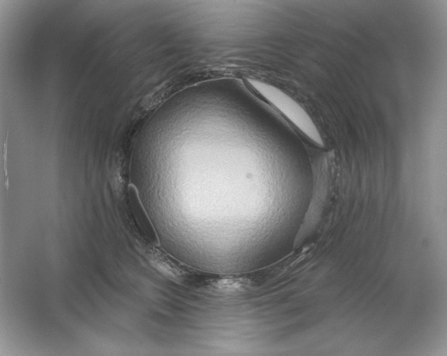 X0000064760566200603031802