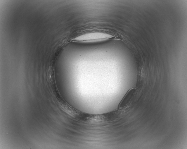 X0000064760567200603031802