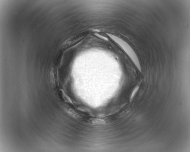 X0000064760572200603031802