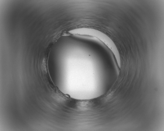 X0000064760575200603031802