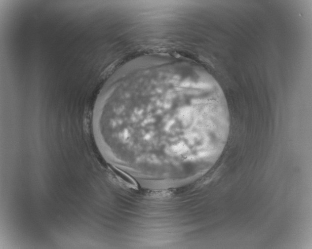 X0000064760576200603031802