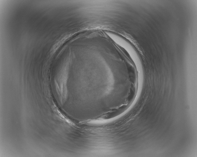 X0000064760577200603031801