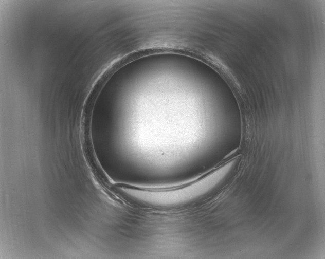 X0000064760580200603031801