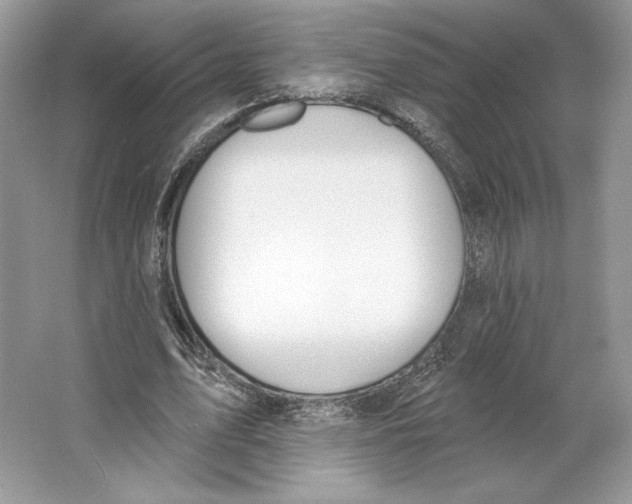 X0000064760583200603031801