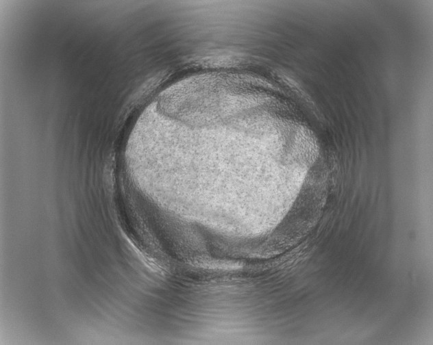 X0000064760586200603031801
