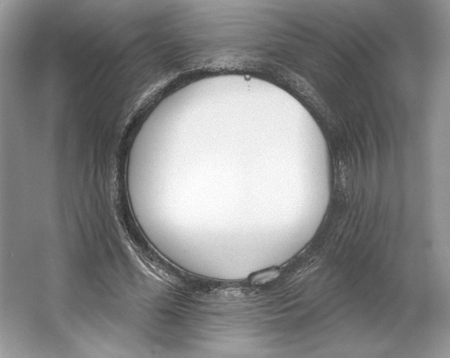 X0000064760588200603031801
