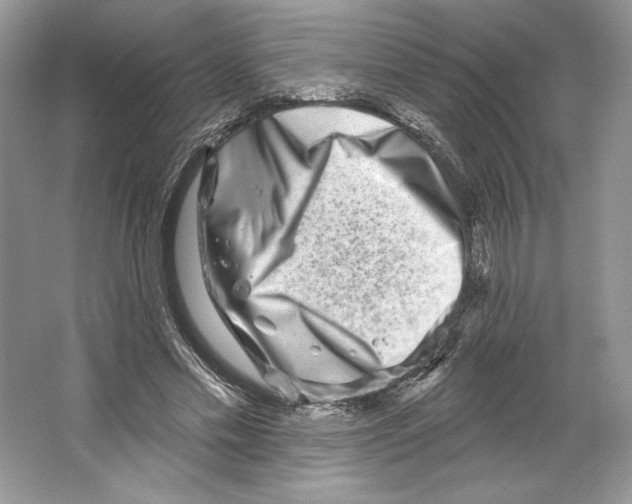 X0000064760589200603031801