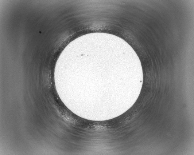 X0000064760592200603031801