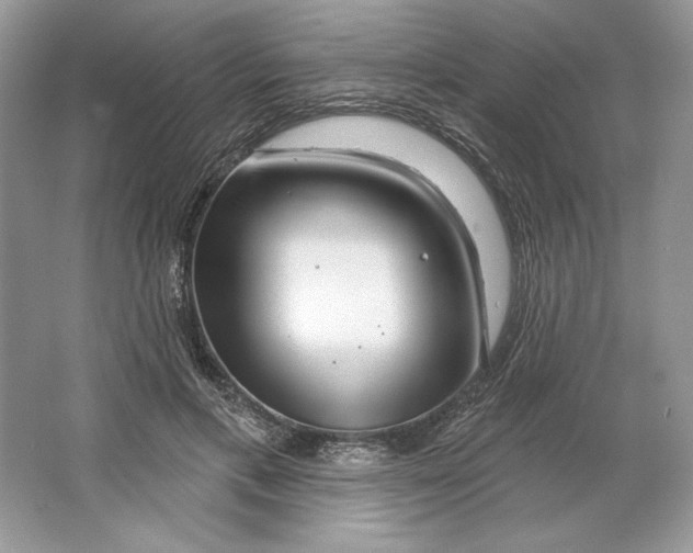 X0000064760597200603031801