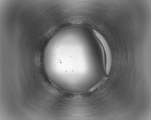 X0000064760600200603031801