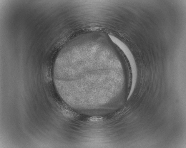 X0000064760606200603031801