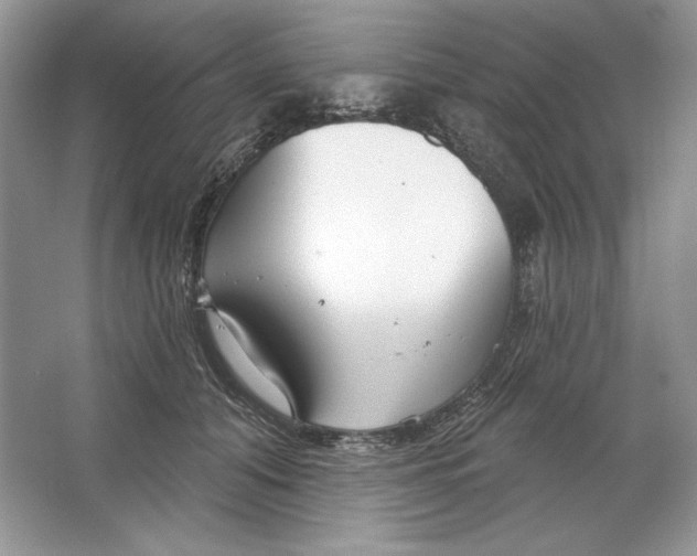 X0000064760608200603031801