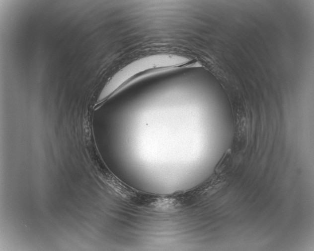 X0000064760609200603031801