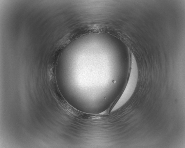 X0000064760611200603031801