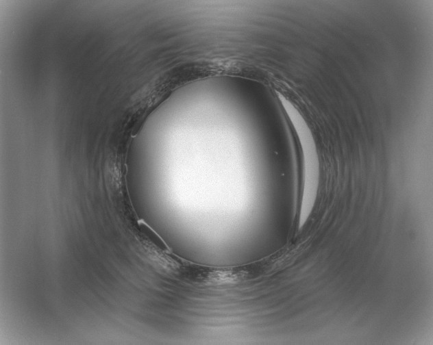 X0000064760613200603031801