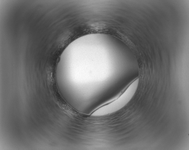 X0000064760615200603031801