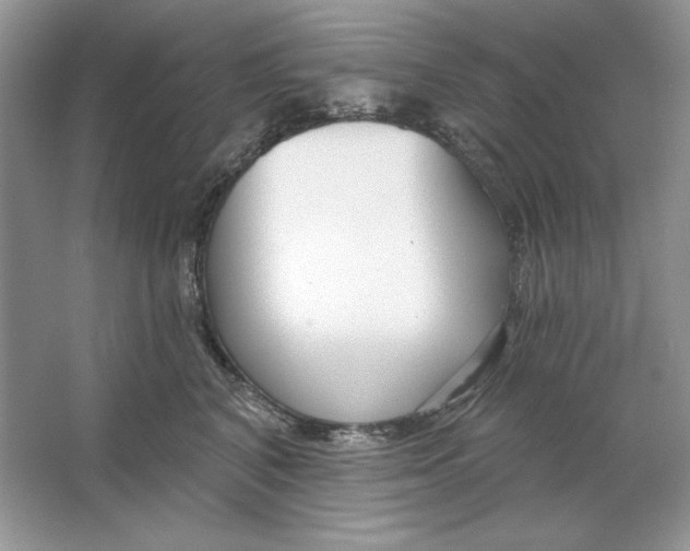 X0000064760616200603031801