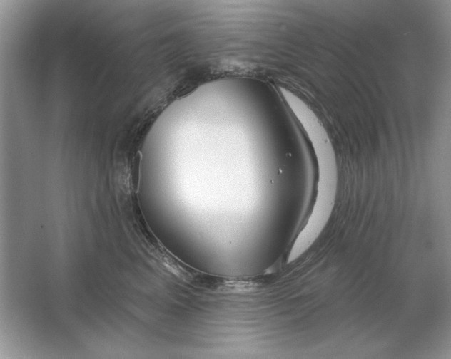X0000064760617200603031801