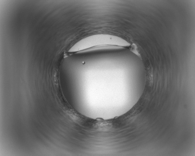 X0000064760619200603031801