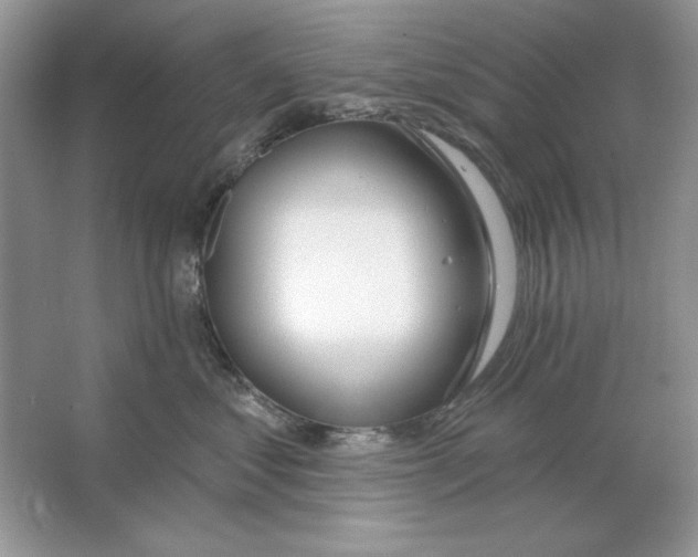 X0000064760621200603031801
