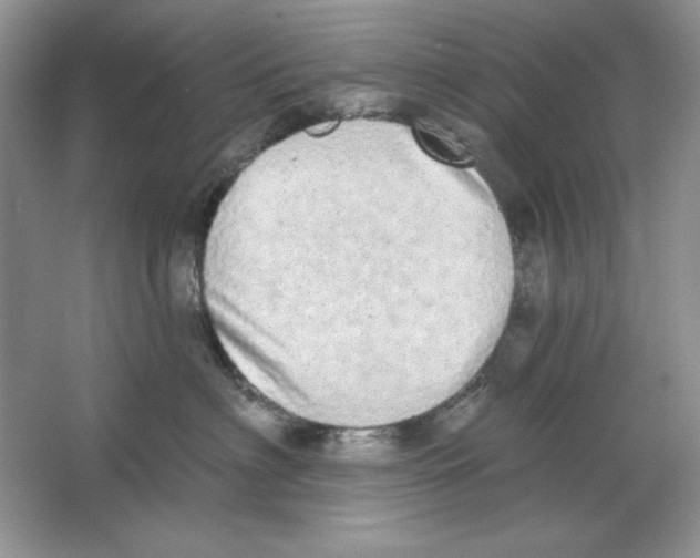 X0000064760622200603031801