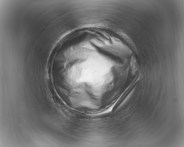 X0000064760628200603031800