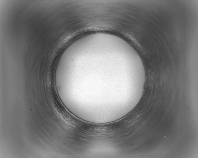 X0000064760631200603031800
