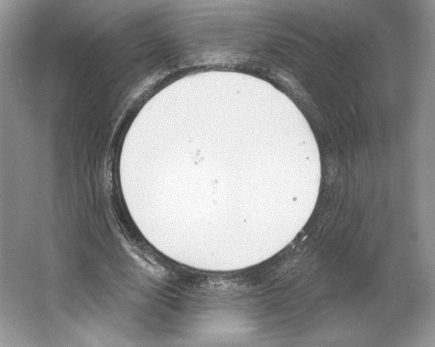 X0000064760632200603031800