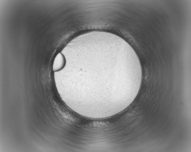 X0000064760636200603031800