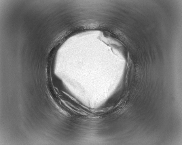 X0000064760638200603031800
