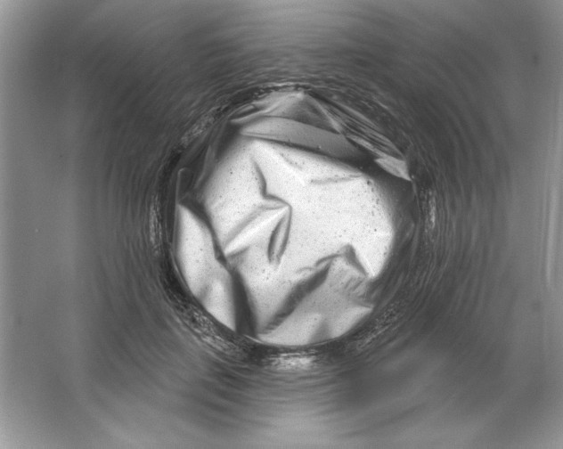 X0000064760651200603031800