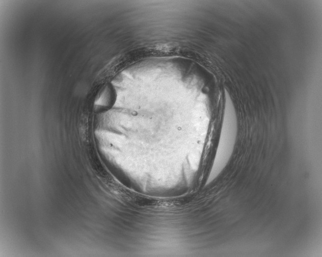 X0000064760656200603031800