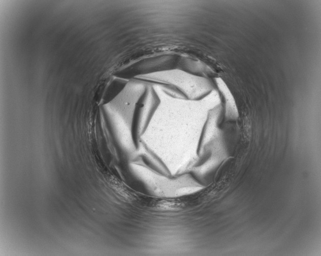 X0000064760657200603031800