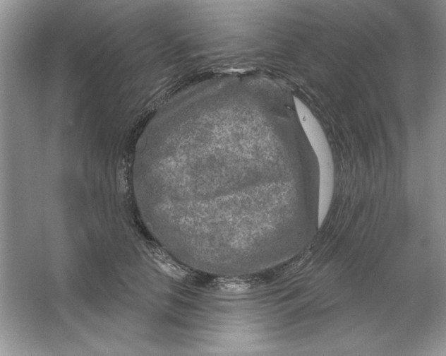 X0000064760658200603031800