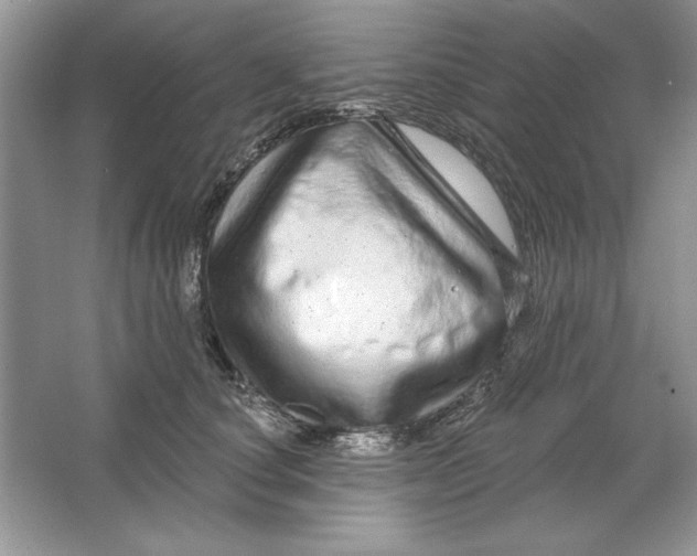 X0000064760660200603031800