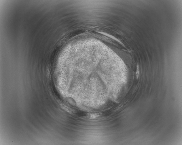 X0000064760662200603031801