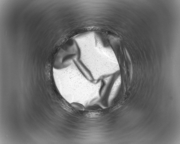 X0000064760664200603031801