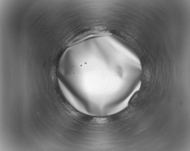 X0000064760665200603031801