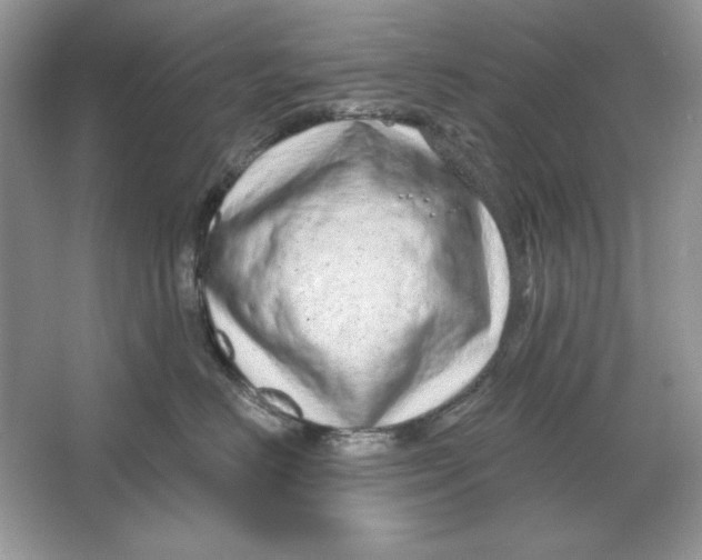 X0000064760670200603031801