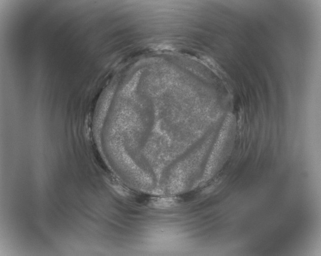 X0000064760671200603031801