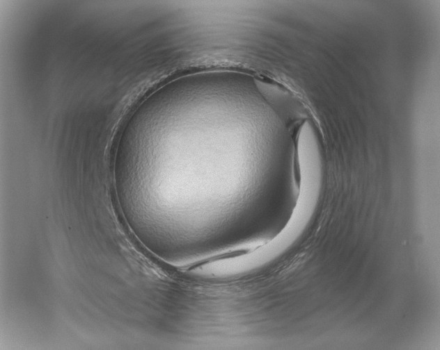 X0000064760673200603031800